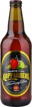 Kopparberg Premium Cider with Strawberry & Lime 500ml Bottle